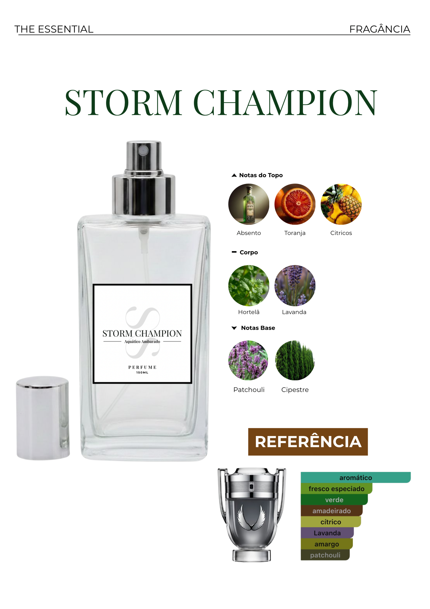 Storm Champion